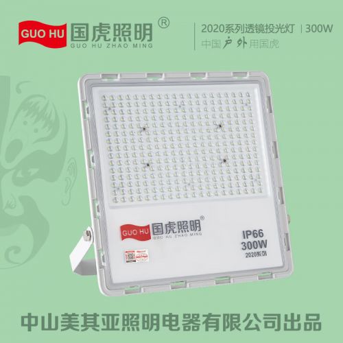 国虎照明室外灯防水led超亮强光投光灯低耗投射灯墙灯 超亮足瓦-300W